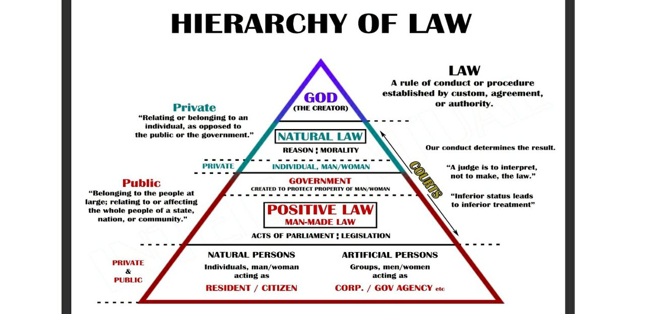 hiérarchie de la loi